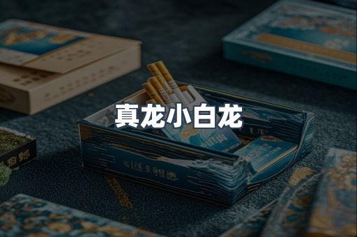 真龙小白龙